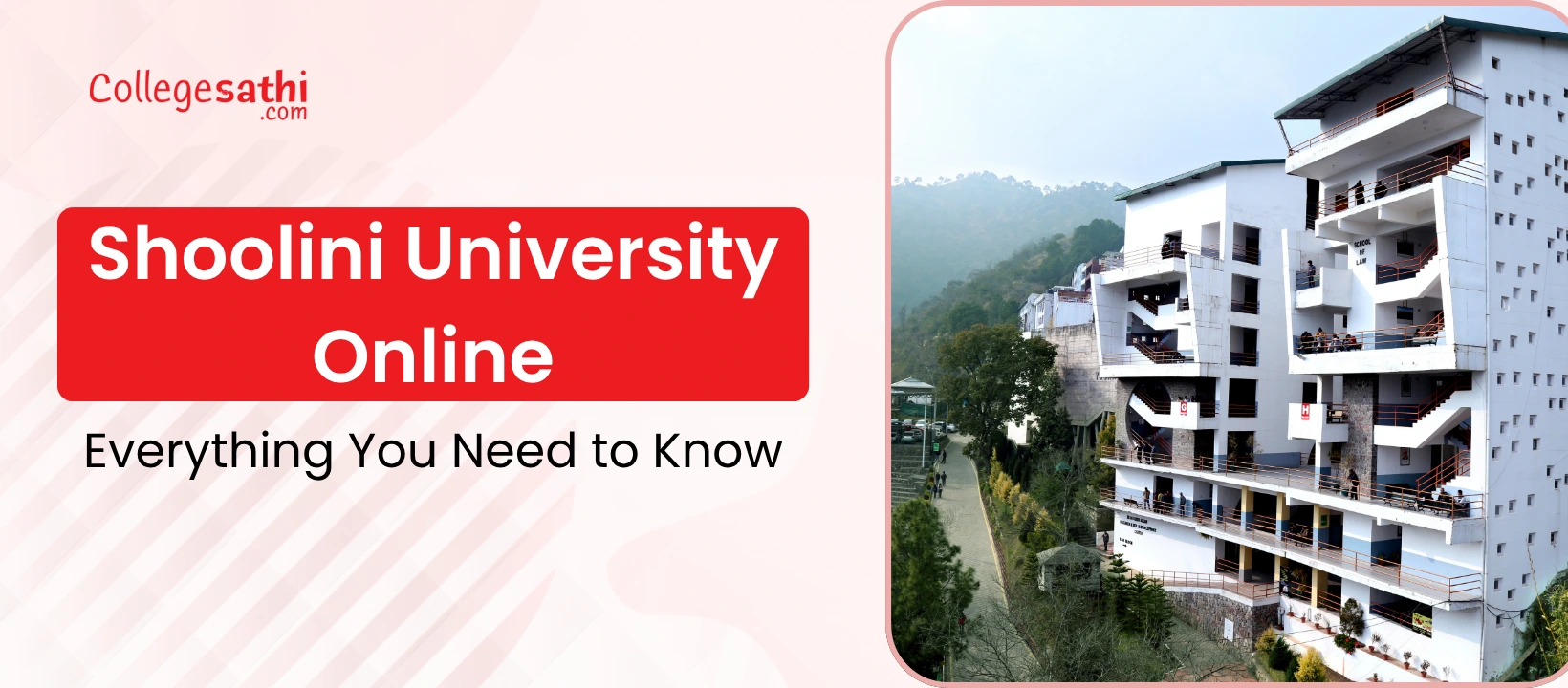 Shoolini University Online: Everything You Need to Know